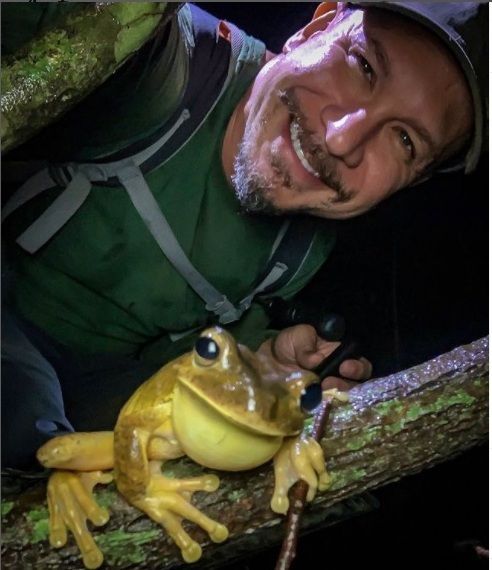 O sapo-martelo (nome científico: Boana faber, antiga nomenclatura: Hyla wachei), também conhecido como sapo-ferreiro, é uma espécie de anuro da família Hylidae, que pode ser encontrada no Brasil, na Argentina e no Paraguai.