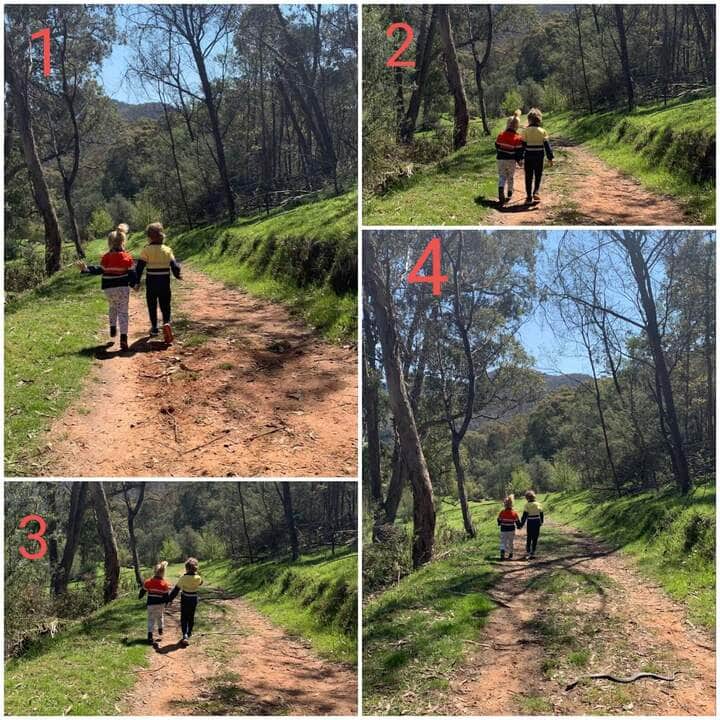 Após analisar algumas fotos que tirou dos filhos, uma mulher notou que uma cobra foi flagrada ao lado das crianças. O caso aconteceu nas proximidades de um rio, em Victoria na Austrália.