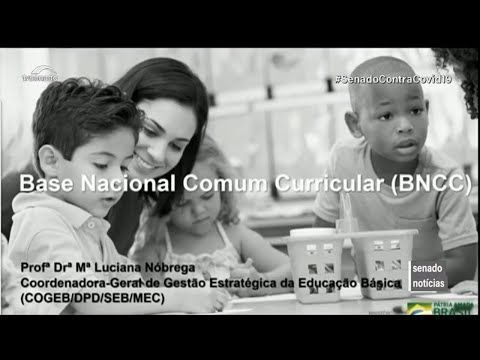 video base nacional comum curricular e discutida na comissao de educacao nesta quinta