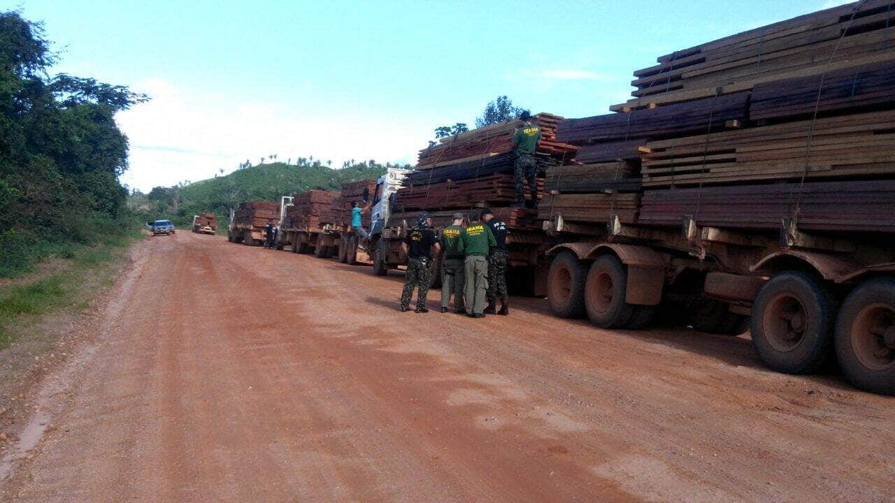 Ações da Polícia Civil garantem combate a crimes ambientais em Mato Grosso