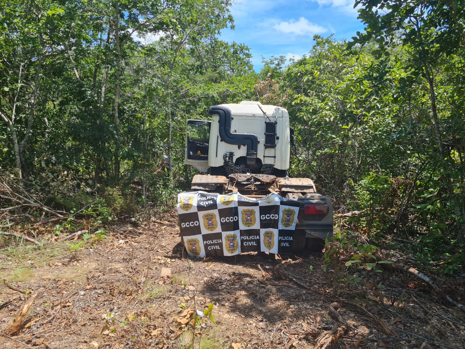 Caminhão roubado em rodovia de Mato Grosso é encontrado dentro de matagal
