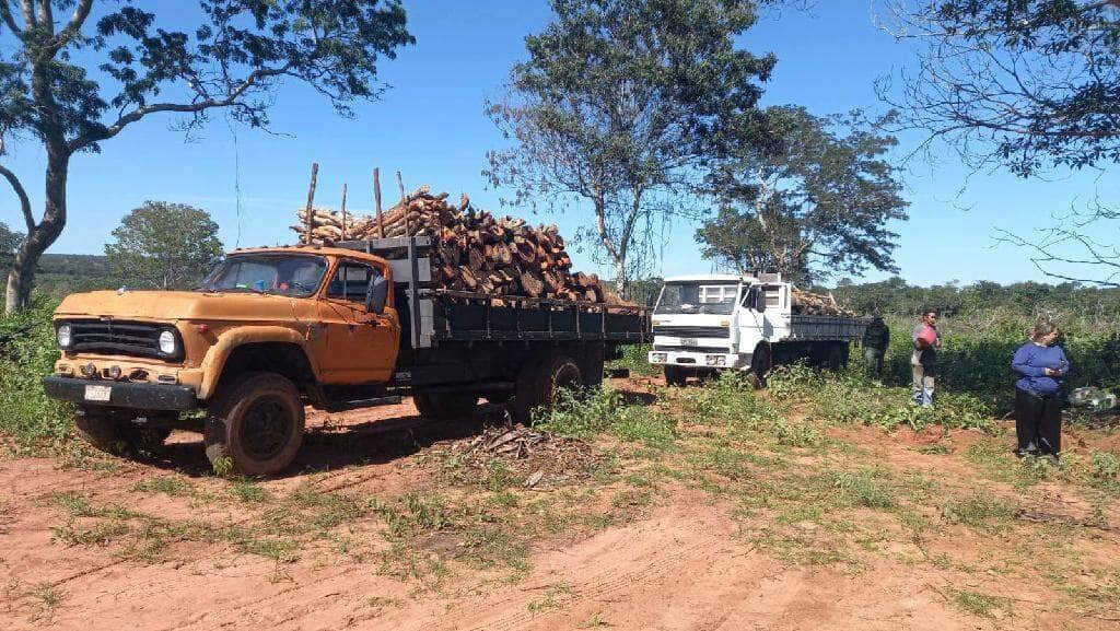 Batalhão ambiental caminhão carregado com madeira