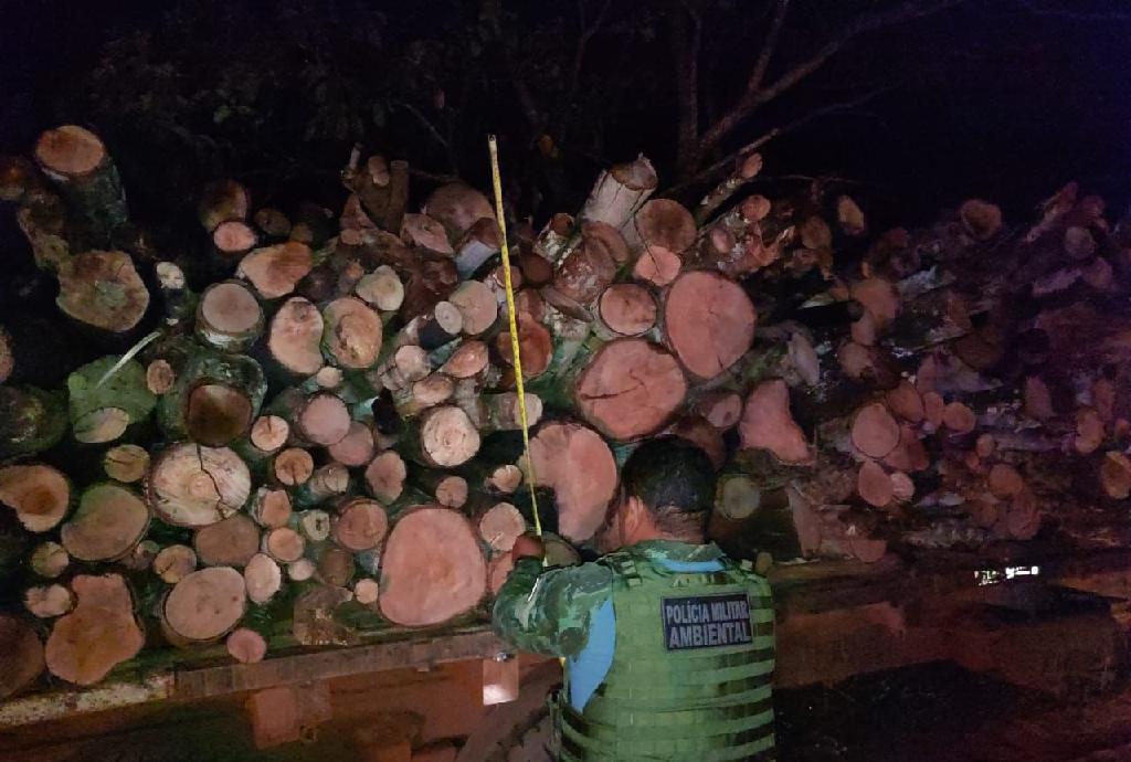 batalhao ambiental prende homem por extracao e transporte ilegal de madeira
