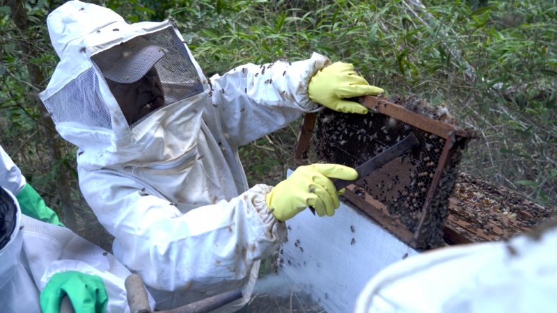encontro tecnico capacita pequenos produtores sobre praticas da apicultura