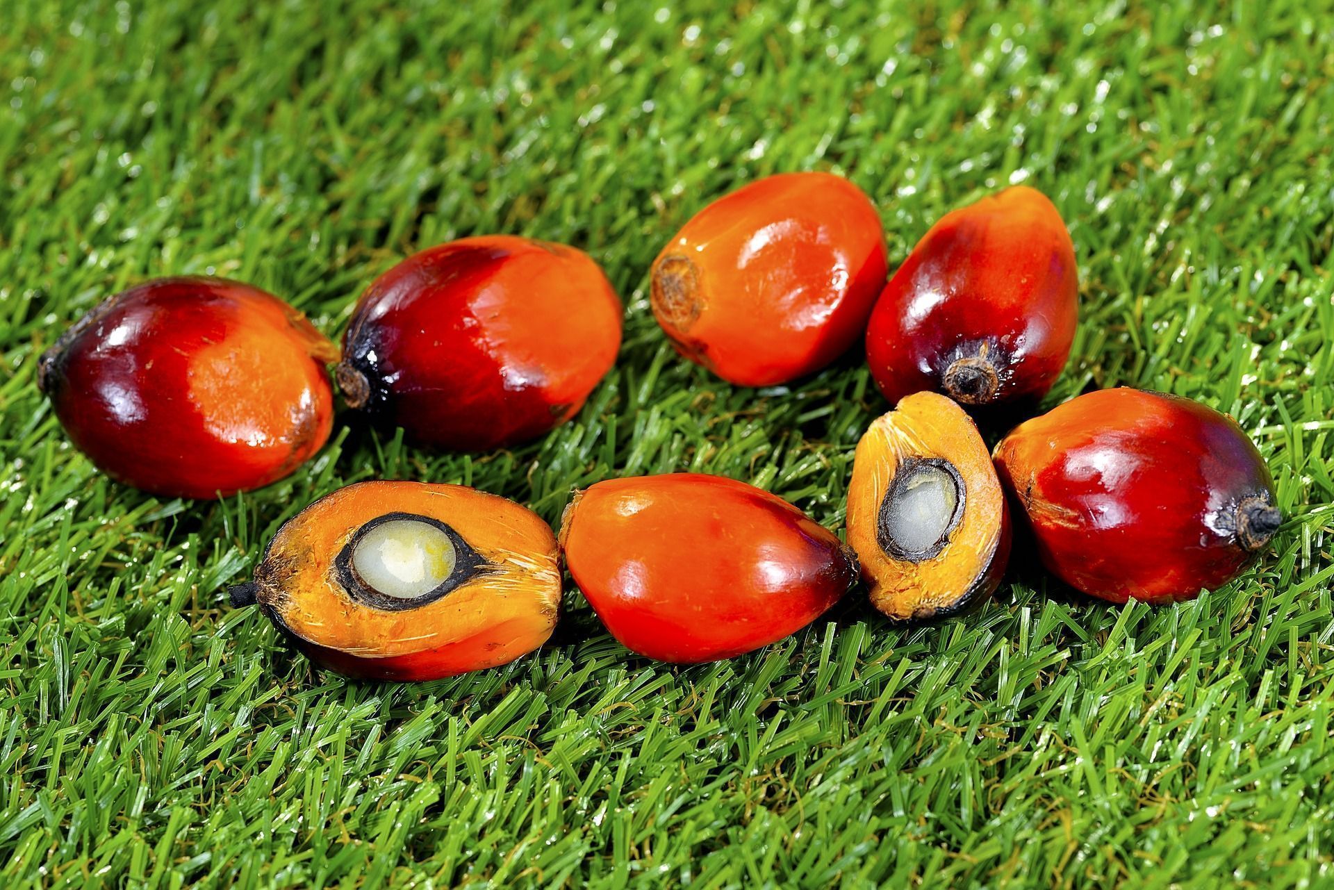 O óleo de palma é saudável ou um verdadeiro veneno?