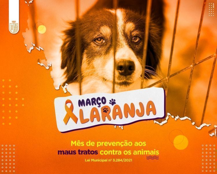 marco laranja prefeitura de lucas do rio verde atuara em mes dedicado a causa animal