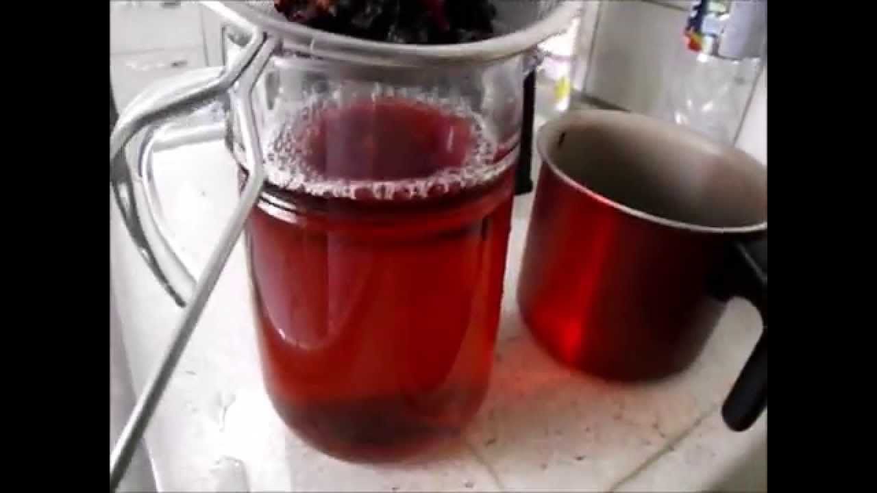 como fazer chá de hibisco