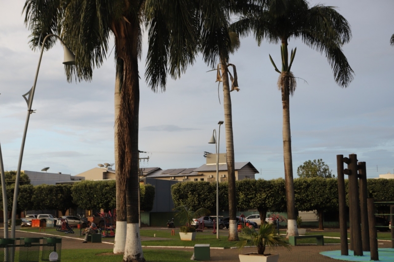 museu de lucas do rio verde reune pioneiros para inventariar palmeiras historicas