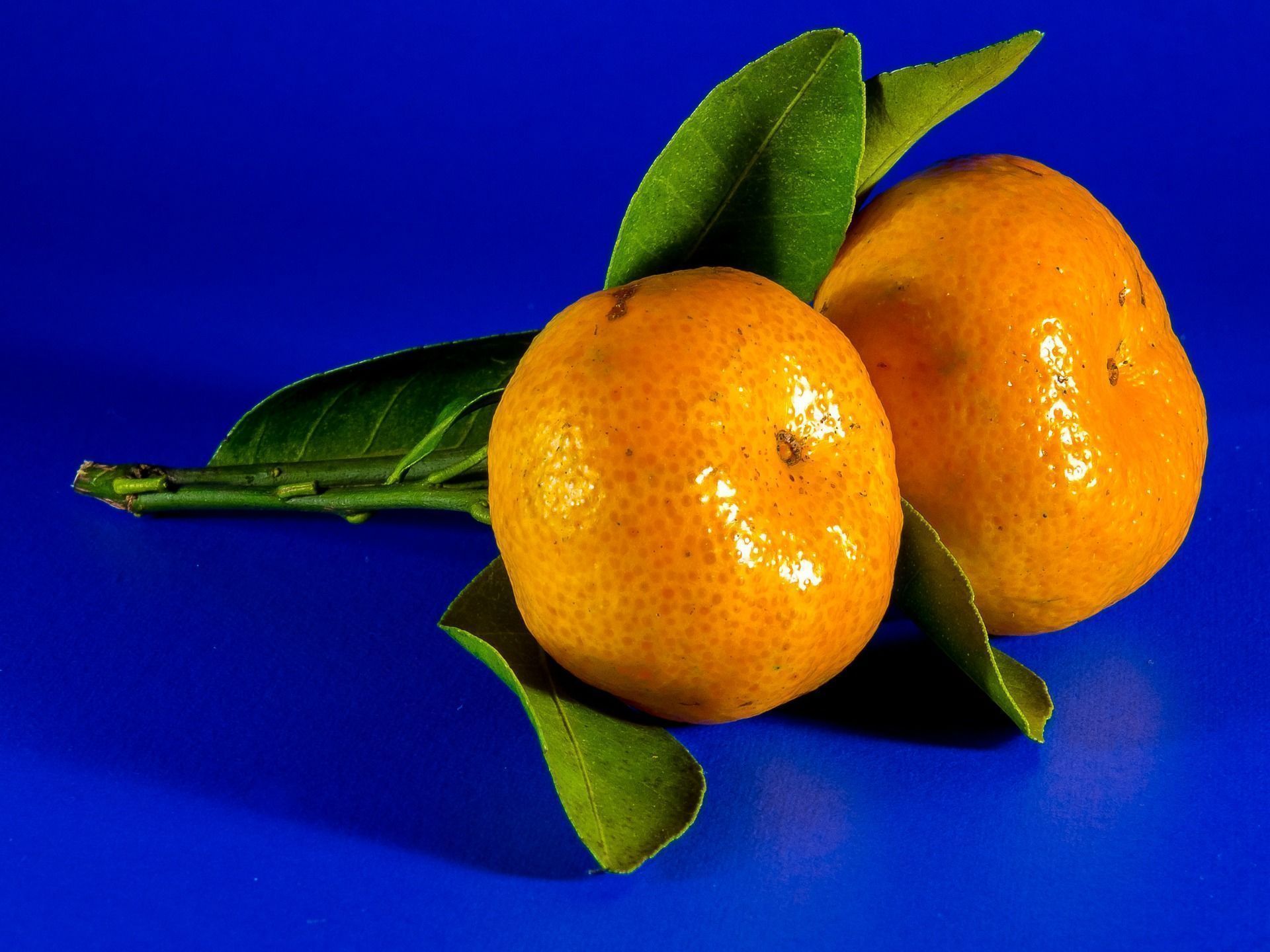 Receitas com tangerina para reforçar a vitamina C