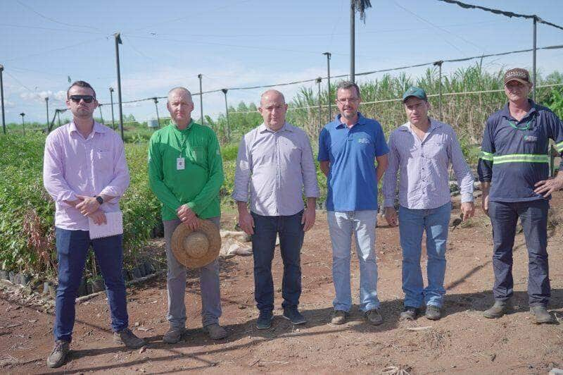 ornamentacao de lucas do rio verde atrai visita de representantes de tangara da serra