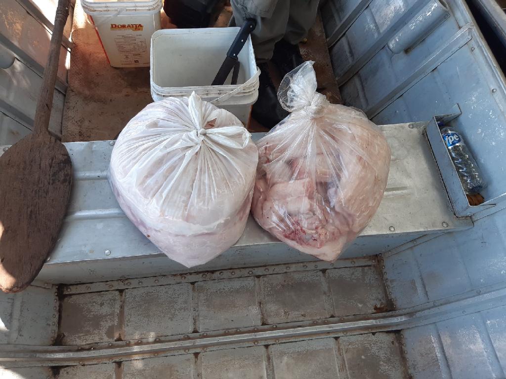sema e pm apreendem 26 kg carne de jacare durante fiscalizacao no rio cuiaba
