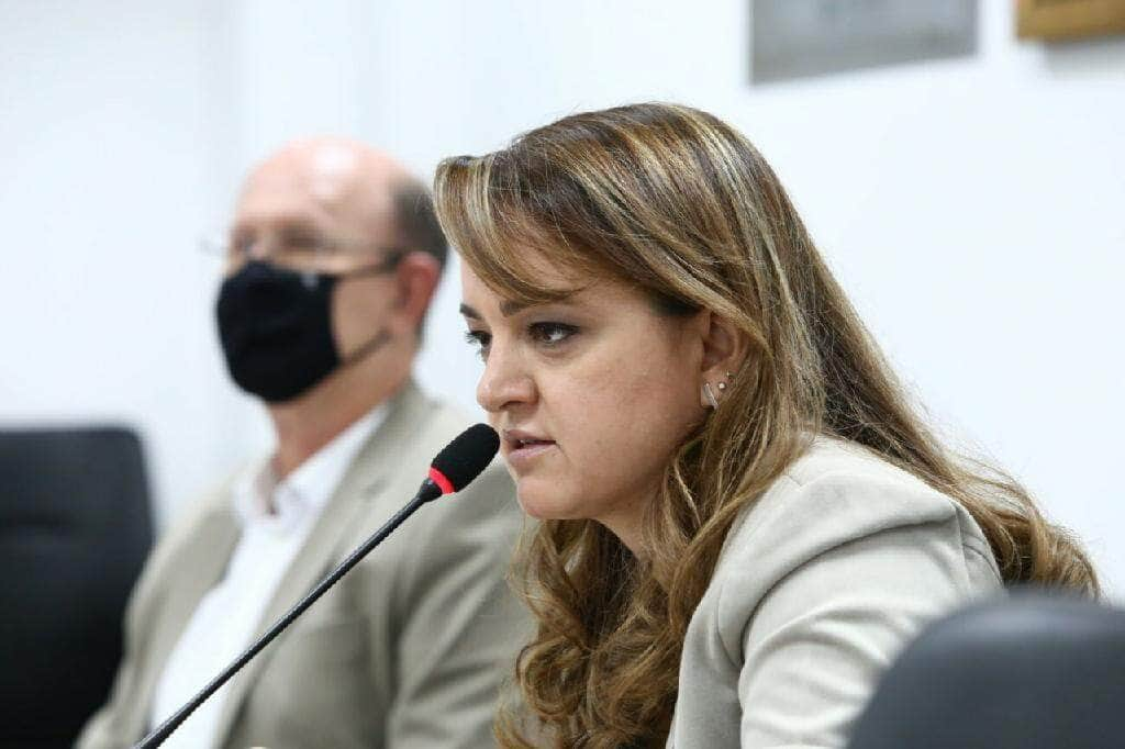 separar o que e abertura de area legal do ilegal e estrategico para a efetividade da fiscalizacao afirma secretaria de meio ambiente