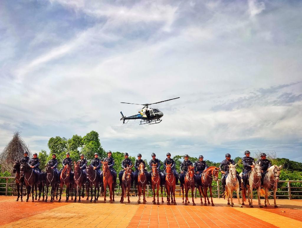 cavalaria da pm celebra 11º aniversario e finaliza curso de policiamento montado nesta terca feira 19