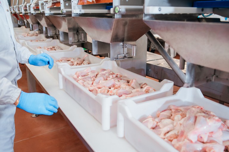 consulta publica recebe sugestoes sobre adesao de frigorificos ao sistema de inspecao com base em risco para frangos de corte