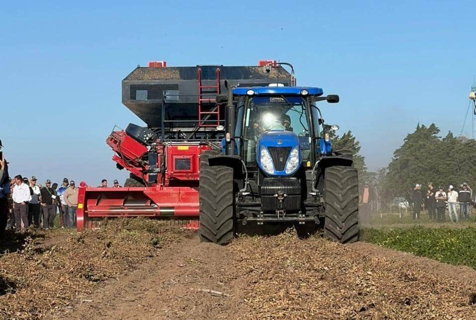 governo conhece tecnicas para fomentar producao de amendoim em mt