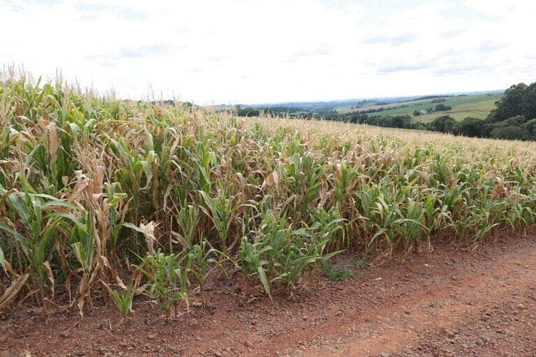 governo regulamenta desconto de 35 2 nos financiamentos para produtores rurais atingidos pela seca