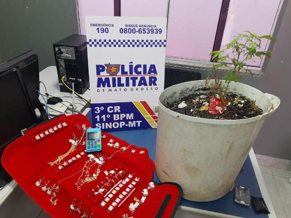 homem e preso em flagrante com pe de maconha em sinop