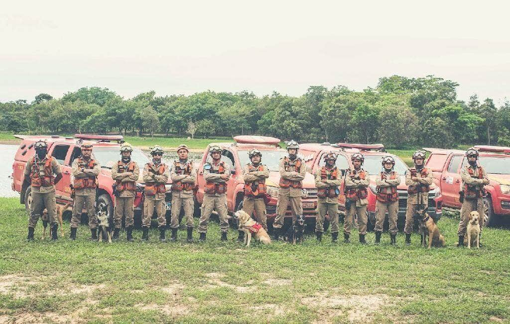 mato grosso sera sede da primeira edicao nacional de treinamento de caes do corpo de bombeiros