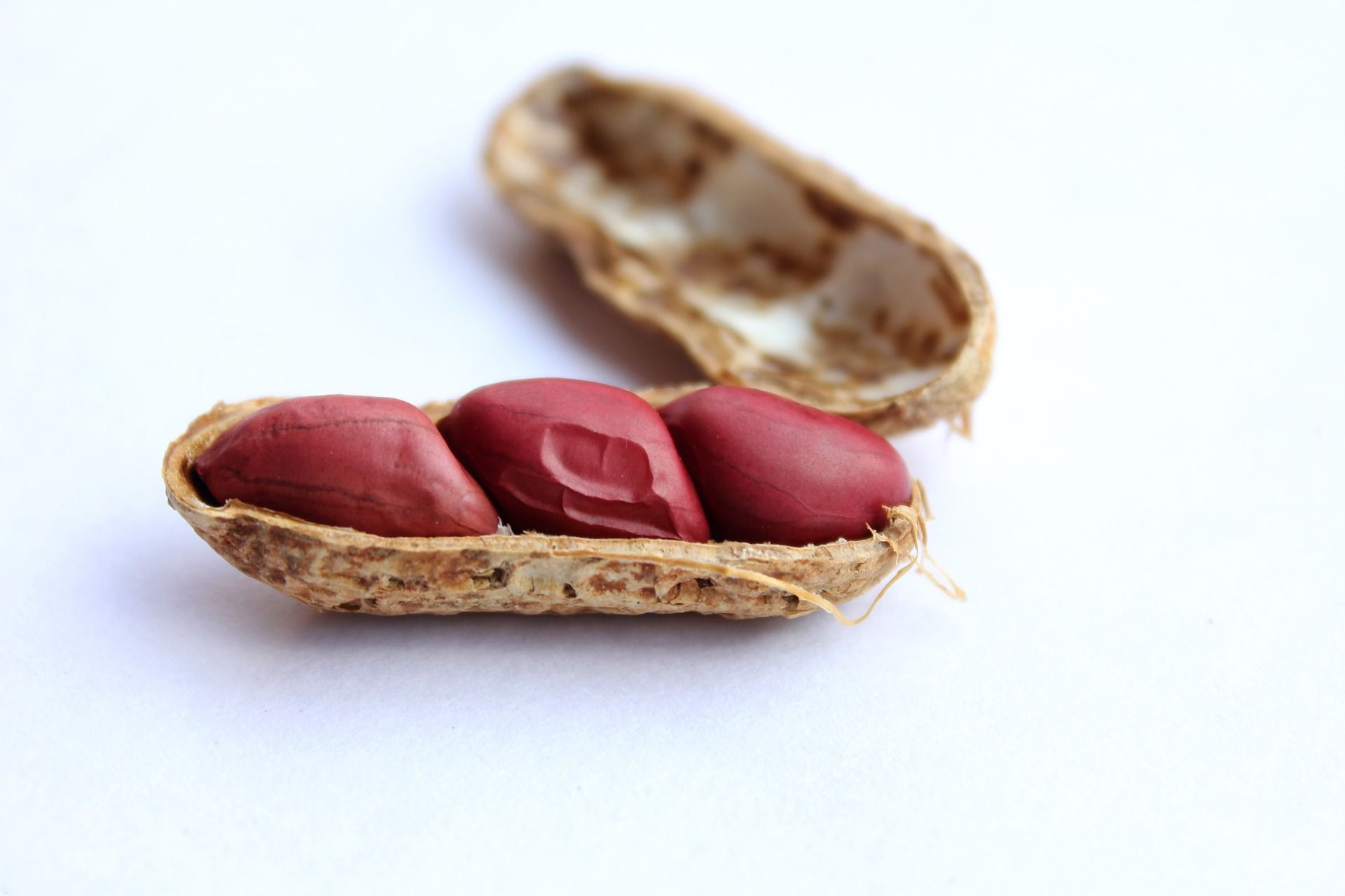 Saiba quais são os benefícios de consumir cascas de amendoim