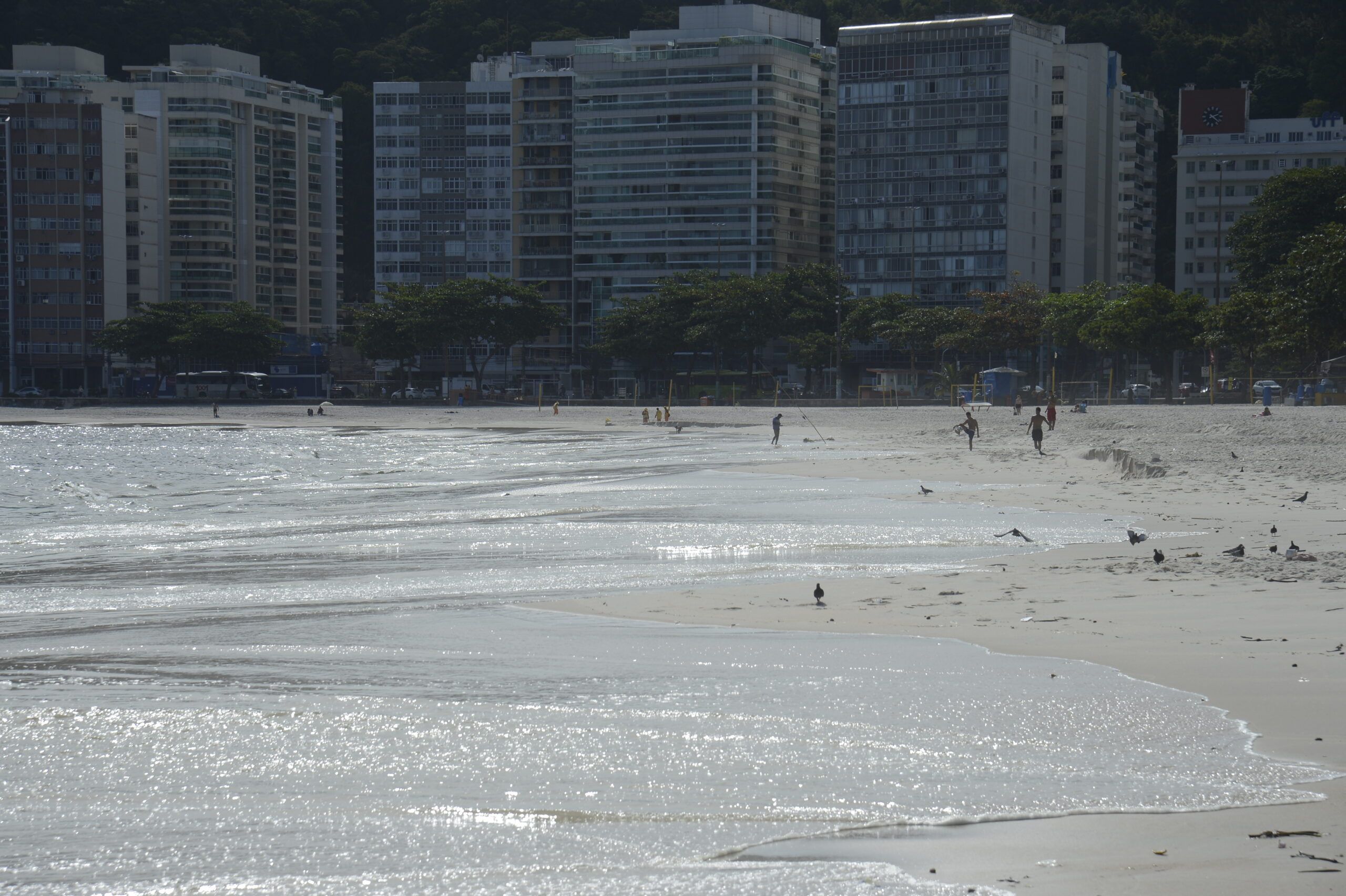 pesquisa da uff comprova existencia de superbacterias nas praias scaled