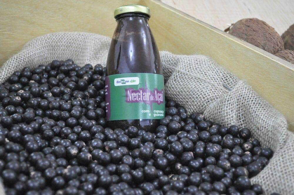 produtos amazonicos a base de acai e castanha do brasil sao apresentados em feira internacional