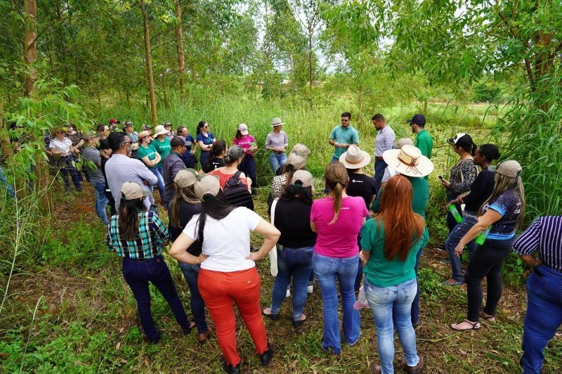projeto educacional incentiva estudantes a valorizar a agropecuaria em lucas do rio verde
