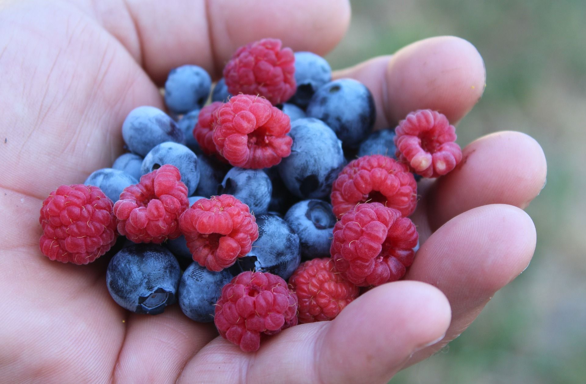 Estas são as 5 frutas mais saudáveis ​​do planeta