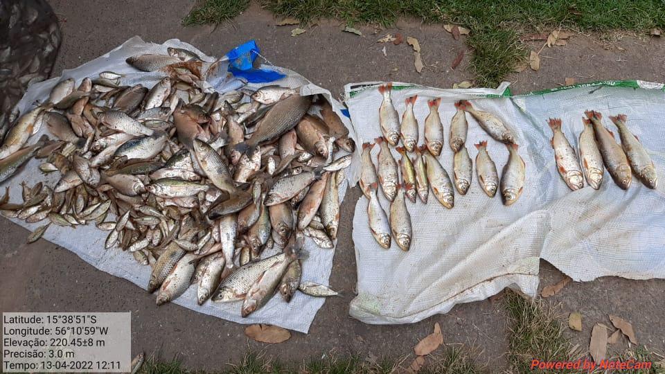tres pessoas sao presas por pesca ilegal na passagem da conceicao