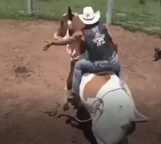 Hoje em dia, os bovinos são os principais figurantes na indústria de produção de carne.