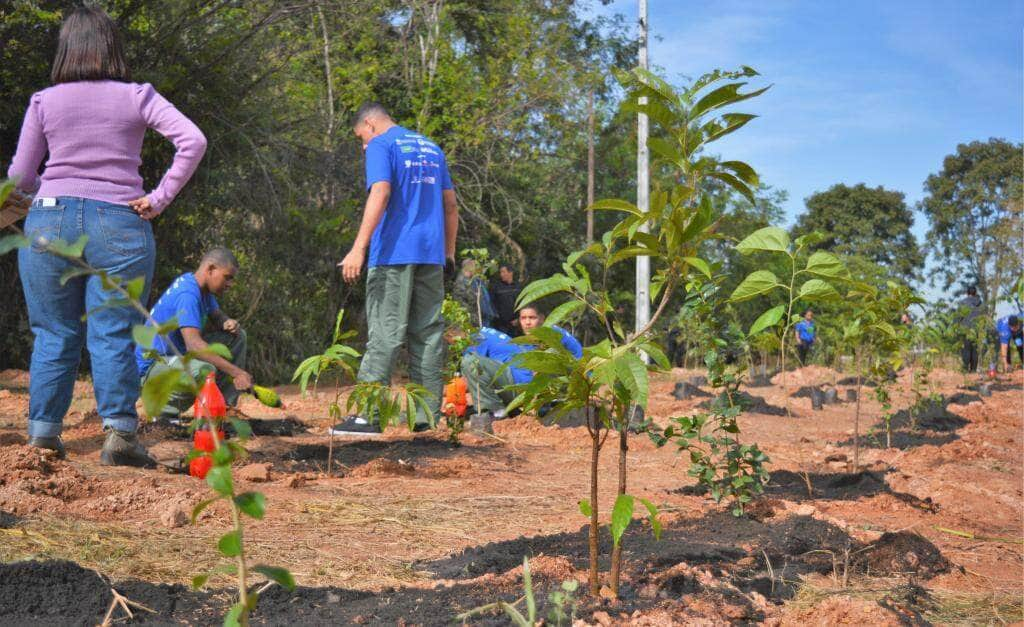 adolescentes participam de projeto para recuperacao da nascente do parque das aguas