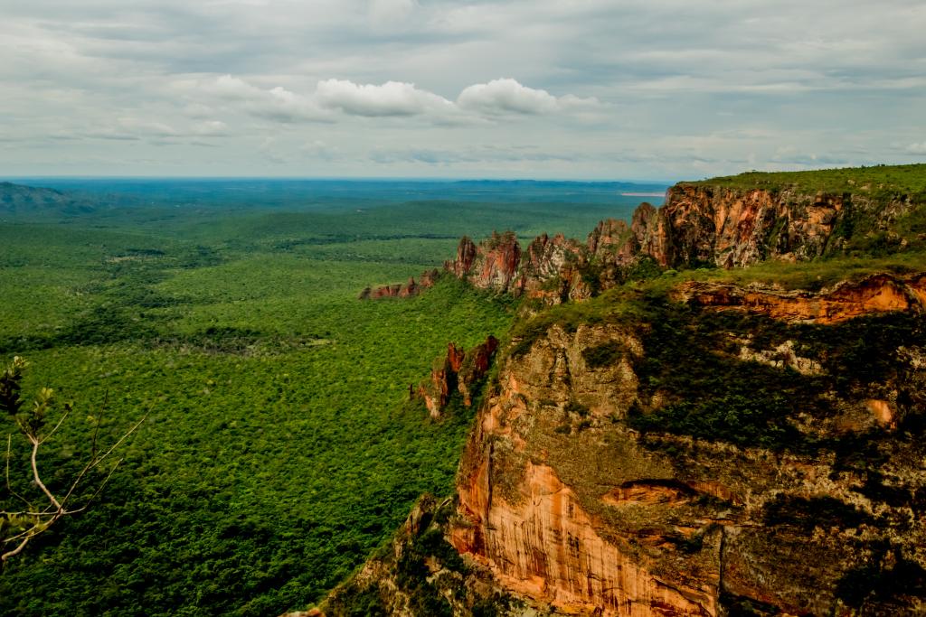 mato grosso registra abertura de 16 7 mil empresas do setor de turismo