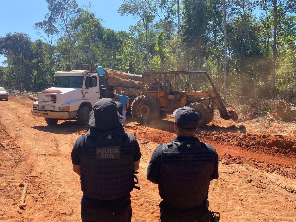 operacao conjunta combate o desmatamento ilegal na regiao norte do estado