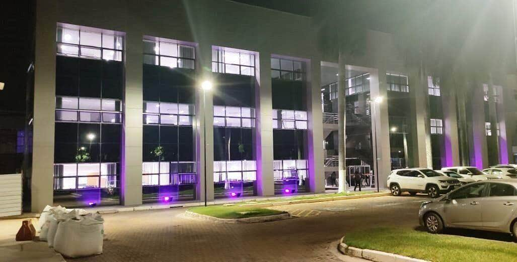 palacio da justica roxo adotar e amor