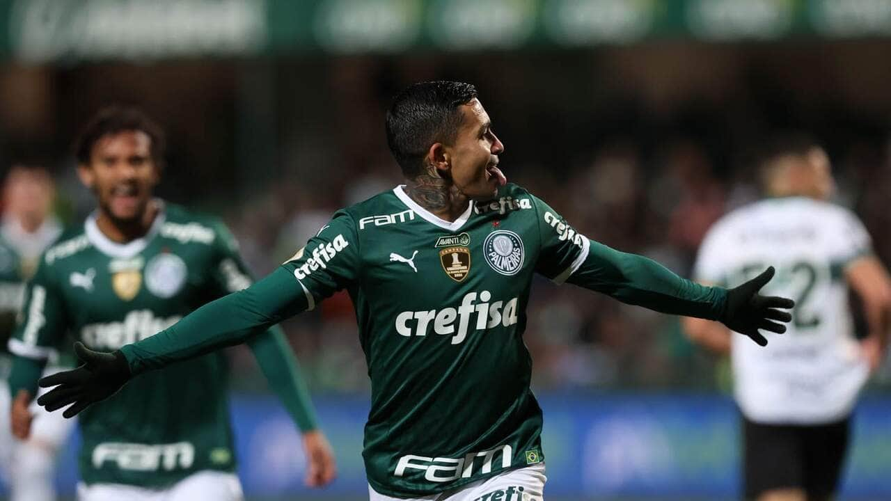 12062022 cg palmeiras destaque 3508 21