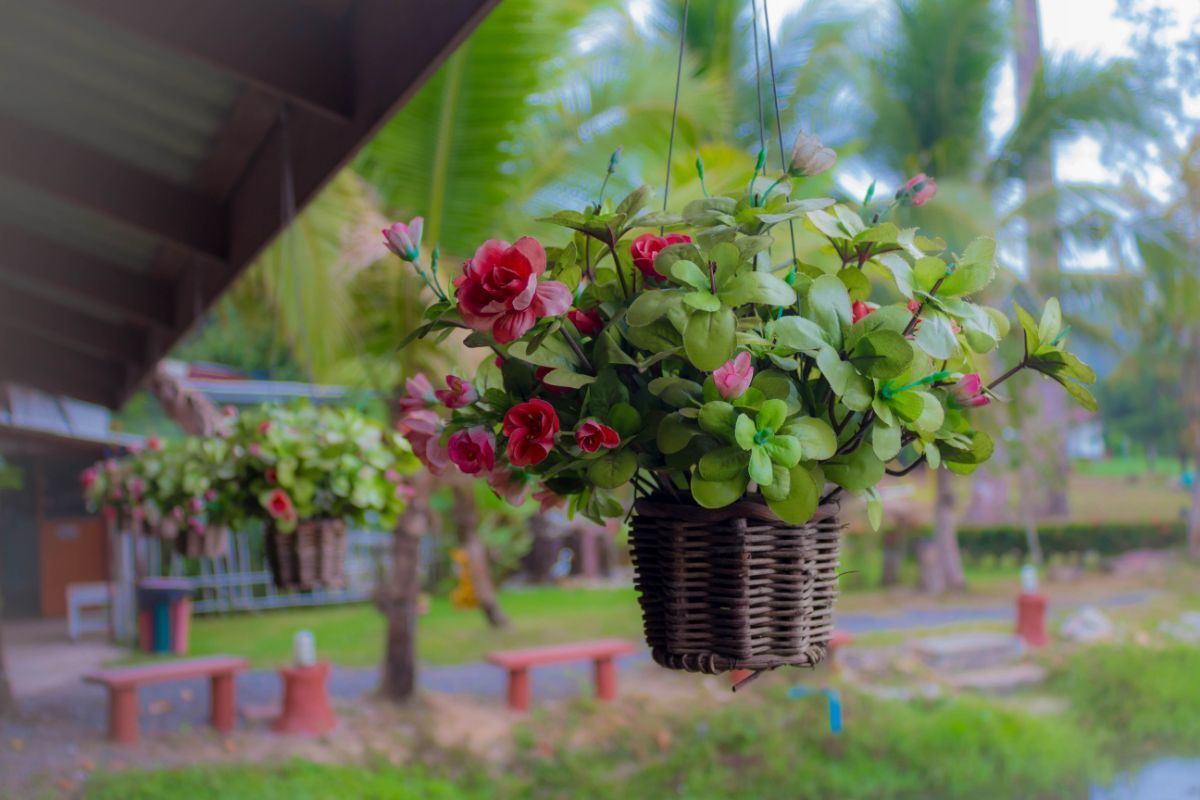 Confira 3 ideias incomuns de vasos de plantas; ótimas ideias para reutilização e decoração ambiental - Fonte: canva