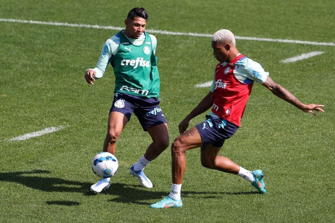 Futebol Ao Vivo: Palmeiras coloca favoritismo à prova contra o Cerro Porteño na Libertadores; veja onde assistir e prováveis escalações. Foto: César Greco/Ag. Palmeiras