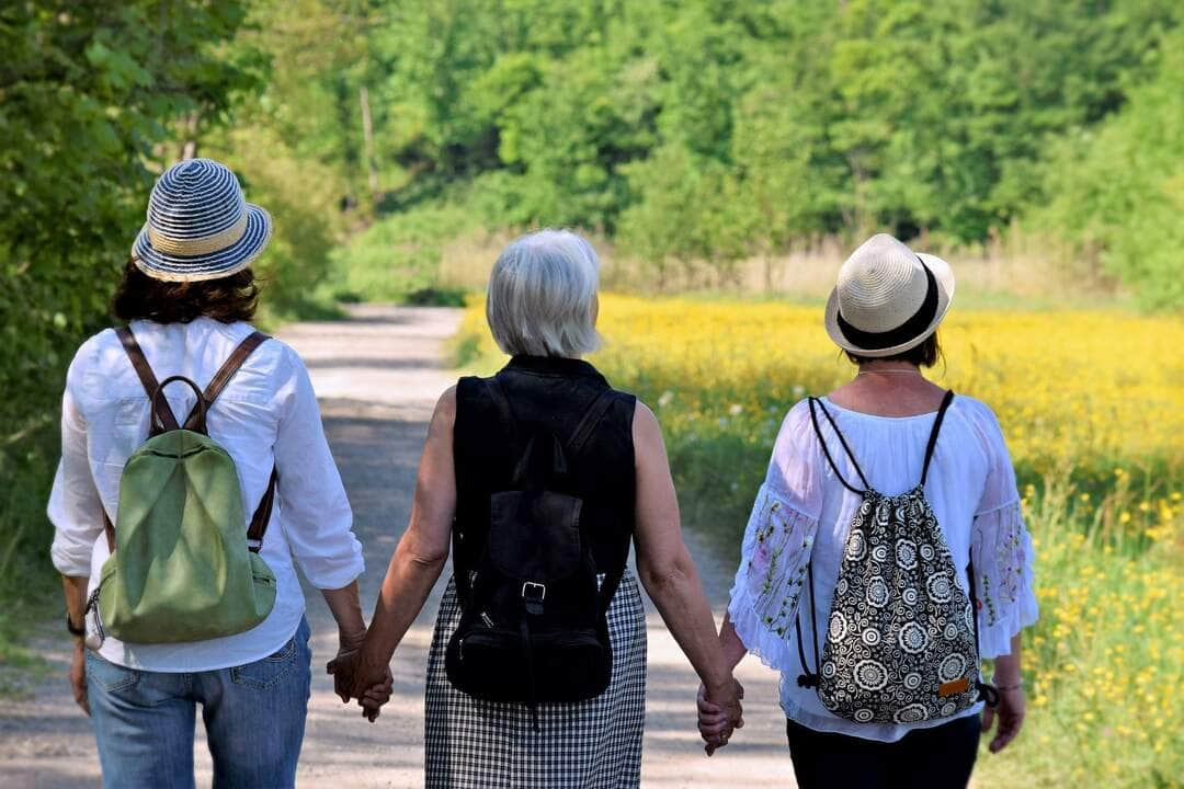 Alimentos que aliviam as ondas de calor na menopausa