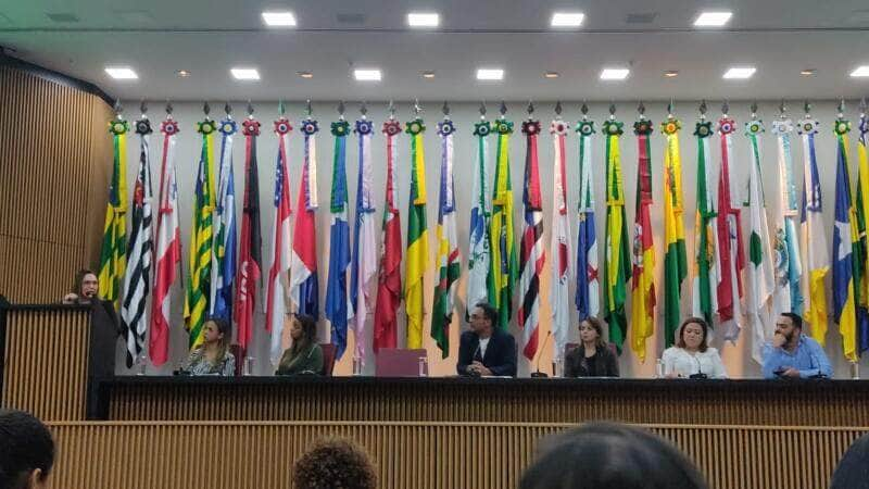 lucas do rio verde representa mato grosso no encontro sobre a primeira infancia em brasilia