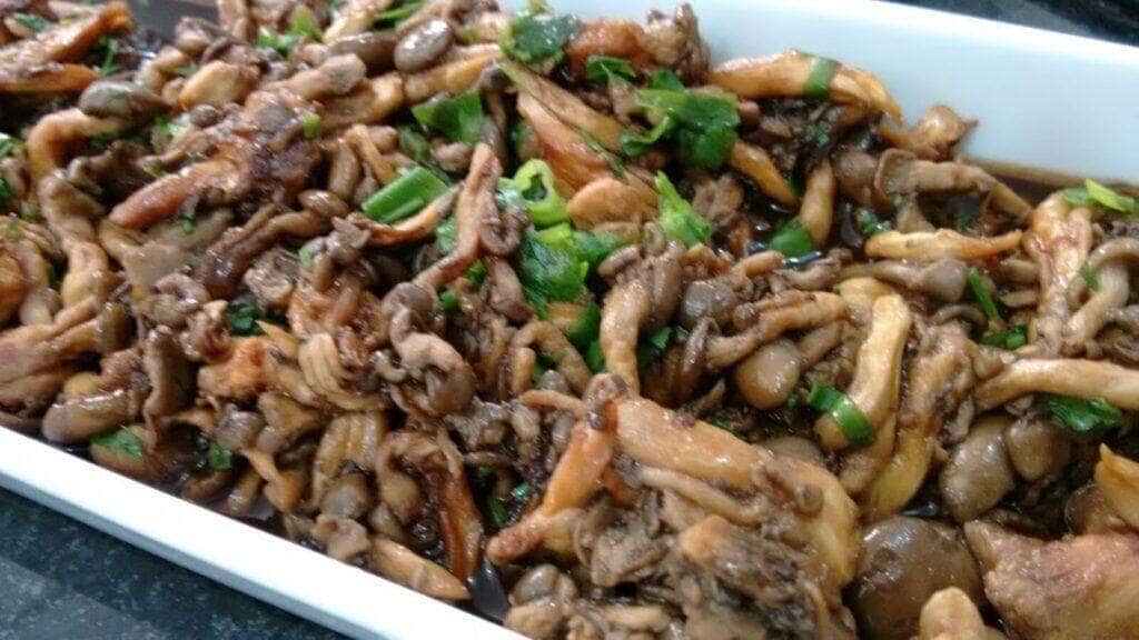 Receita de shimeji refogado delicioso CenárioMT