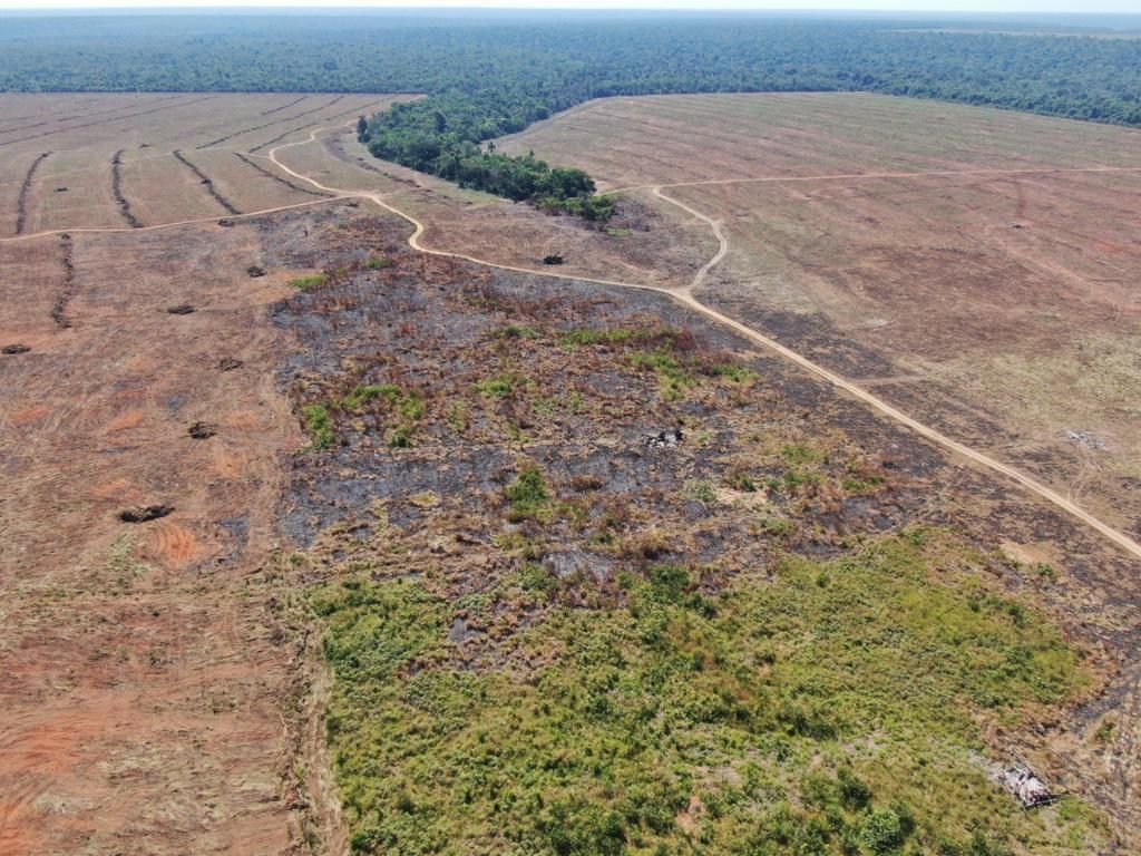 Mutirão da Conciliação Ambiental oferece chance de resolver pendências em Mato Grosso