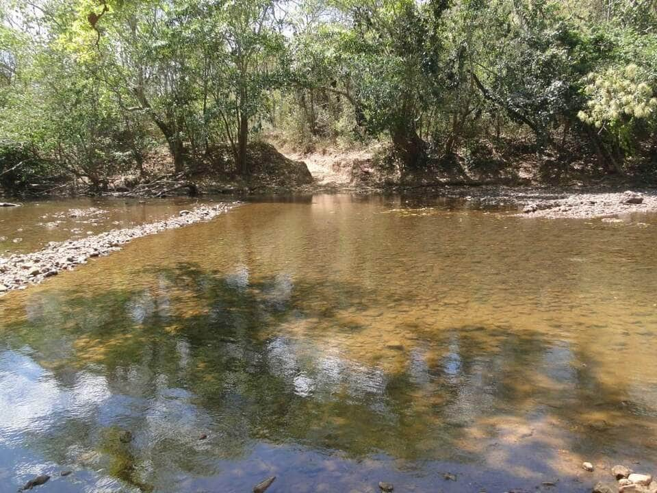 parque estadual aguas do cuiaba e apa cabeceiras do rio cuiaba entregam certificado de posse a novos conselheiros