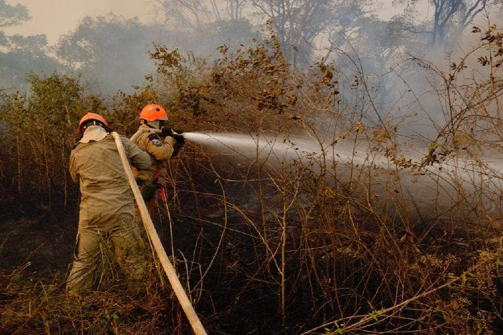 periodo proibitivo do fogo em mato grosso comeca nesta sexta feira 1º