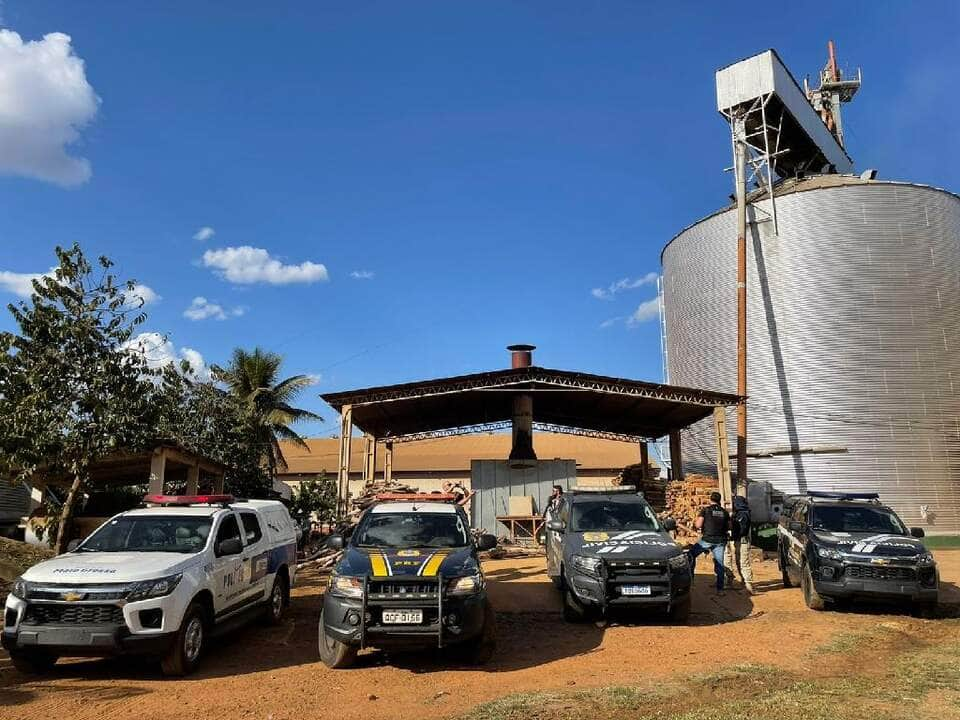 policia civil incinera 800 quilos de cocaina e drogas sinteticas em primavera do leste