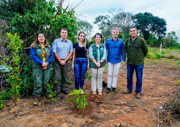 projetos do mma ajudam na conservacao e recuperacao do pantanal