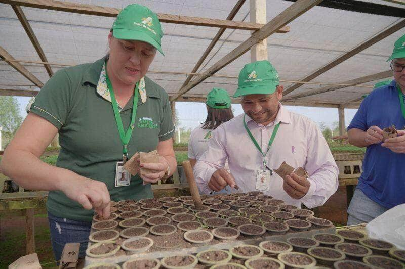 sementes doadas para reflorestamento sao plantadas pela secretaria de meio ambiente