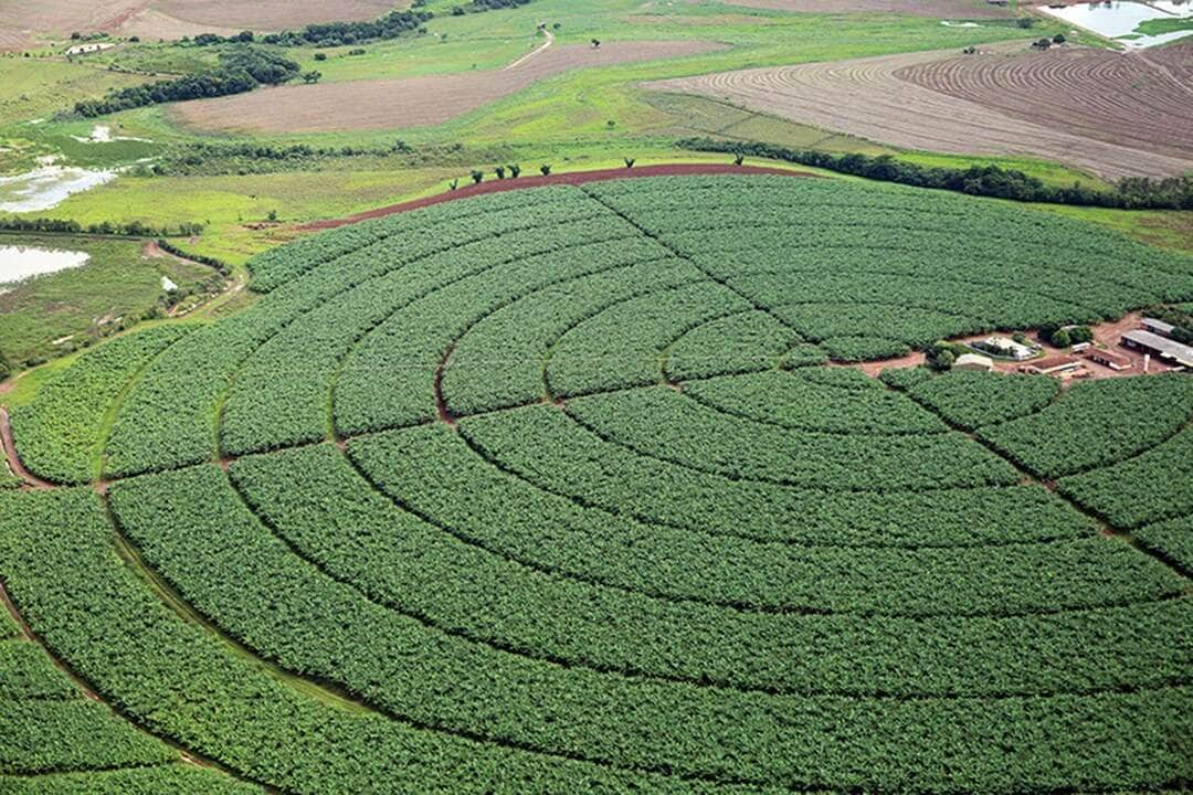 senado aprova mp que aumenta garantias para setor agro captar recursos