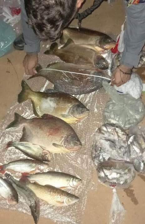 tres homens sao presos por trafico de drogas e pescado irregular em mt