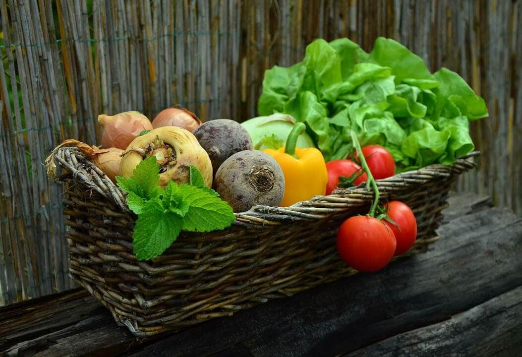 Minerais: como melhorar a assimilação do ferro dos vegetais