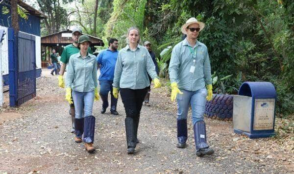 voluntarios promovem limpeza da area verde