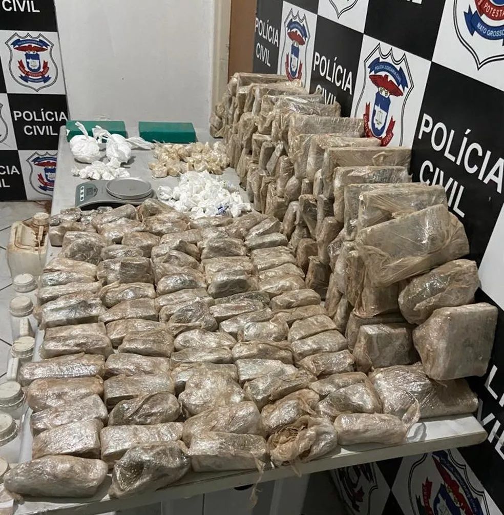 Quase 50 kg de drogas foram apreendidos pela polícia — Foto: Polícia Civil